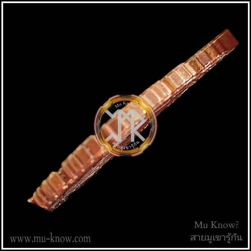 เหรียญพัดยศรุ่นแรก พระอาจารย์บุญกู้ วัดอโศการาม ปี 2565 - Image 4