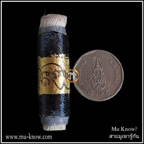 ตะกรุด หนังม้าขาวอัศวราช หลวงพ่อพูลทรัพย์ วัดอ่างศิลา จ.ชลบุรี ปี 2551 - Image 4