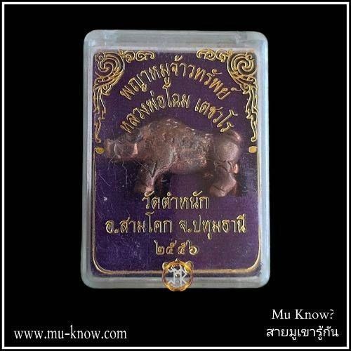 พญาหมูเจ้าทรัพย์เนื้อชนวนรุ่นแรก หลวงพ่อโฉม วัดตำหนัก จ.ปทุมธานี ปี 2556 - Image 4