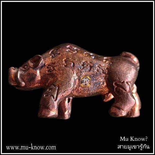 พญาหมูเจ้าทรัพย์เนื้อชนวนรุ่นแรก หลวงพ่อโฉม วัดตำหนัก จ.ปทุมธานี ปี 2556 - Image 2