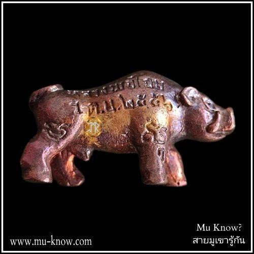 พญาหมูเจ้าทรัพย์เนื้อชนวนรุ่นแรก หลวงพ่อโฉม วัดตำหนัก จ.ปทุมธานี ปี 2556