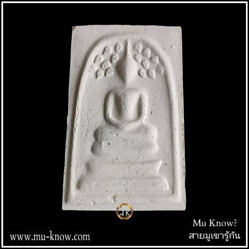 พระสมเด็จปรกโพธิ์หลังพระสุนทรีวาณี เจ้าคุณธงชัย วัดไตรมิตร ปี 2563