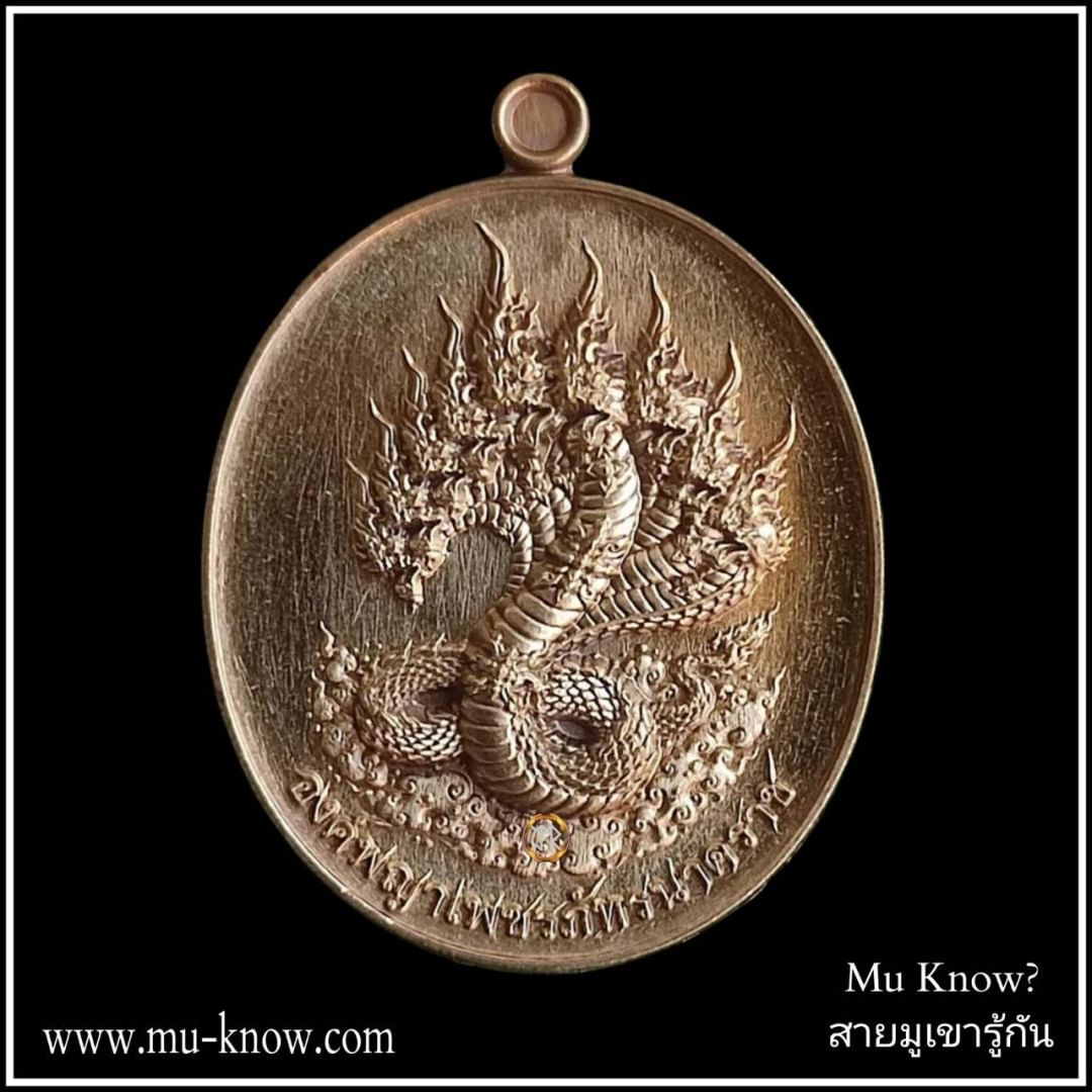 เหรียญพญาเพชรภัทรนาคราชรุ่น "นาคบรรพ์" เนื้อชนวนมวลสาร ปี 2568