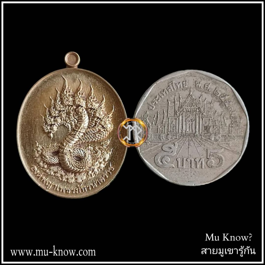 เหรียญพญาเพชรภัทรนาคราชรุ่น "นาคบรรพ์" เนื้อชนวนมวลสาร ปี 2568 - Image 5