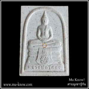 พระผงหลวงพ่อโสธร ภปร. รุ่นยกฉัตรทองคำ ปี 2539 (ธรรมดา)