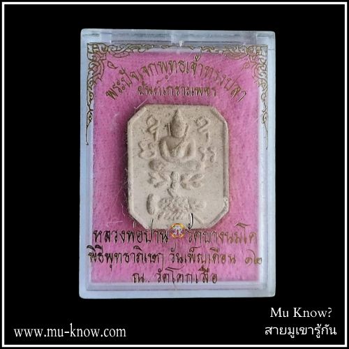 พระผงพระปัจเจกพุทธเจ้าทรงปลา หลังยันต์เกราะเพชร วัดโคกเสือ ปี 2532 - Image 6