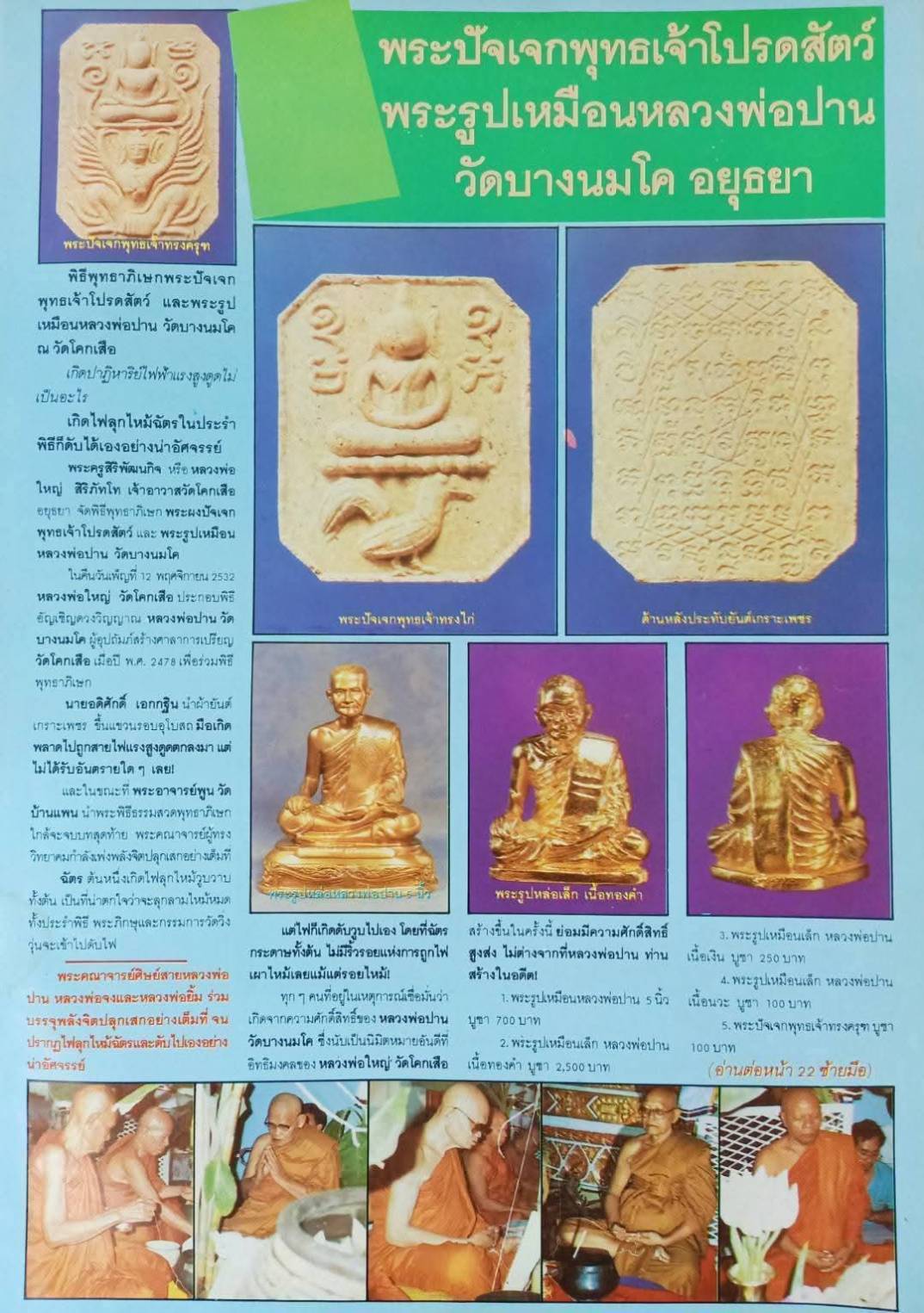 พระผงพระปัจเจกพุทธเจ้าทรงปลา หลังยันต์เกราะเพชร วัดโคกเสือ ปี 2532 - Image 7